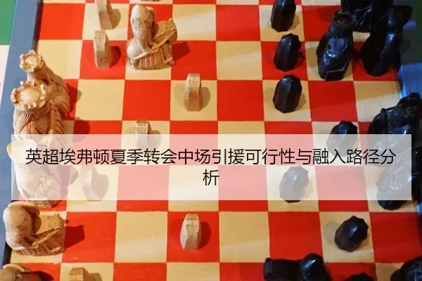 英超埃弗顿夏季转会中场引援可行性与融入路径分析